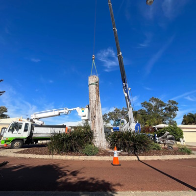 Tree removal with crane, Greenfields.